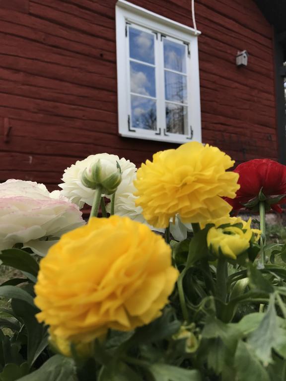 Visingsö Pensionat Dış mekan fotoğraf